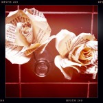 Bridal Paper Rose by - luz - at flickr Bridal Paper Rose by - luz - at flickr