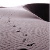 Footprints by oso at Flickr