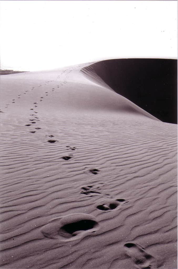 Footprints by oso at Flickr