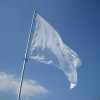 The White Flag  - Flikr image by portobeseno
