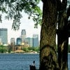Lake Calhoun Summer