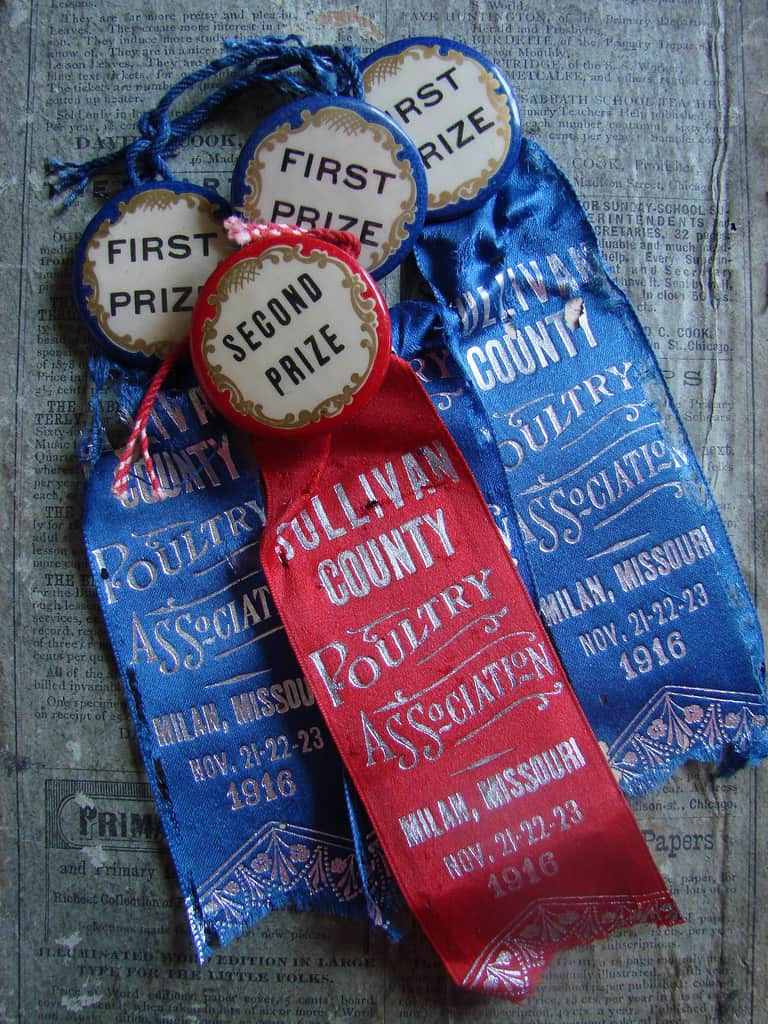 Vintage Ribbons