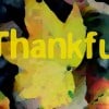 Thankful by Nakeva via Flickr.