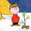 Charlie Brown Christmas Tree Shopping by K!T via Flickr.