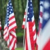 American Flags by Peter Miller via Flickr.