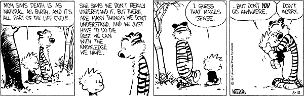 Calvin & Hobbes 3
