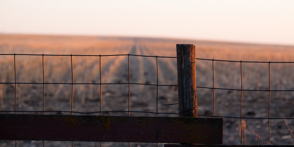 Fence Field by viking_79 at Flickr
