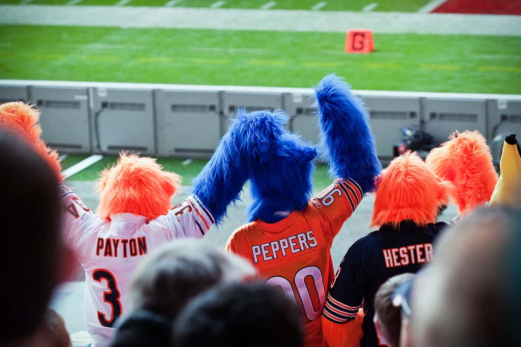 Bears Fans by Mark J P at Flickr