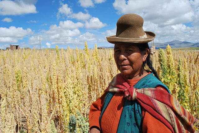 A Bolivian farmer in her quinoa field