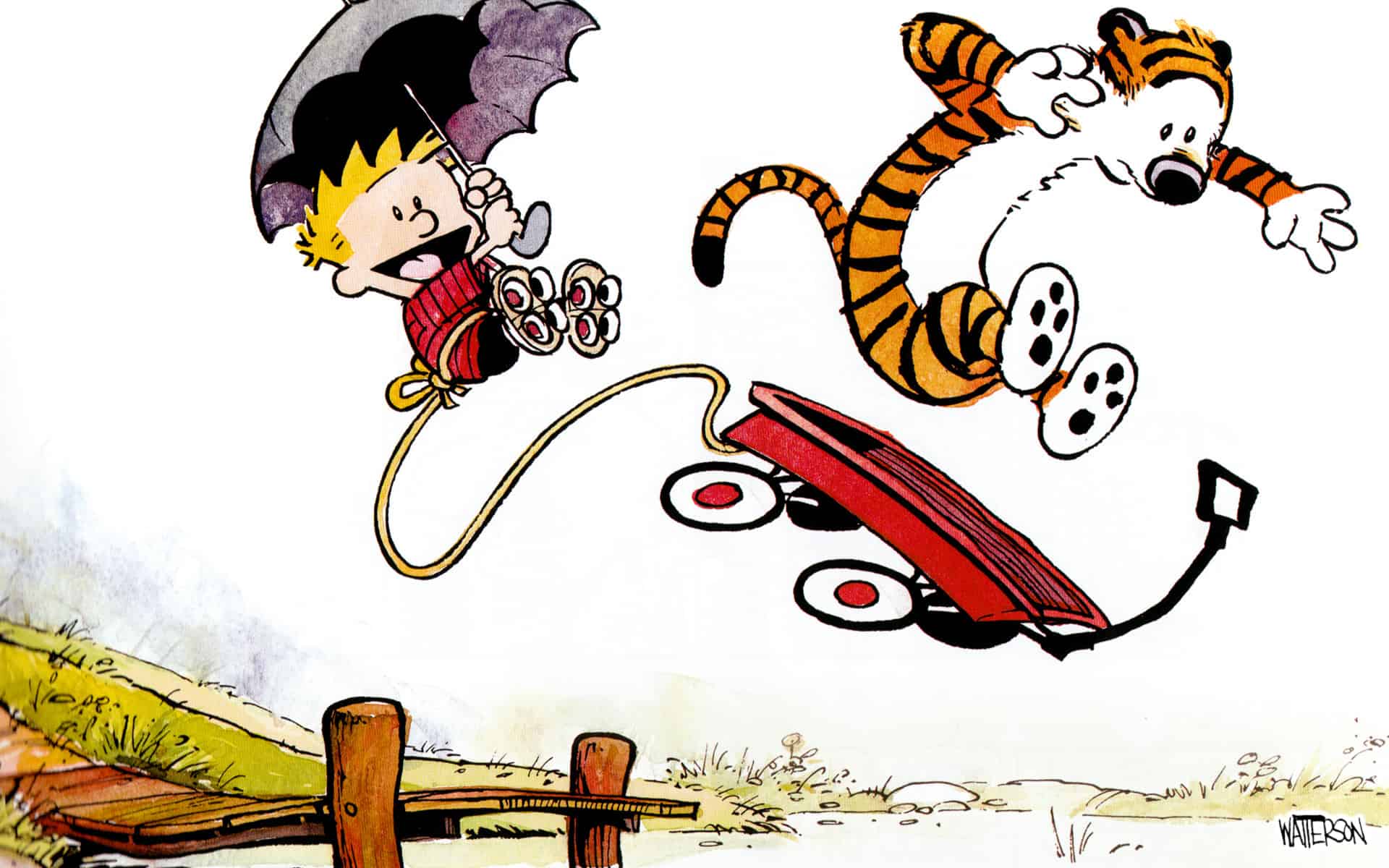 calvin and hobbes man of action