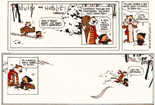 Calvin & Hobbes 2