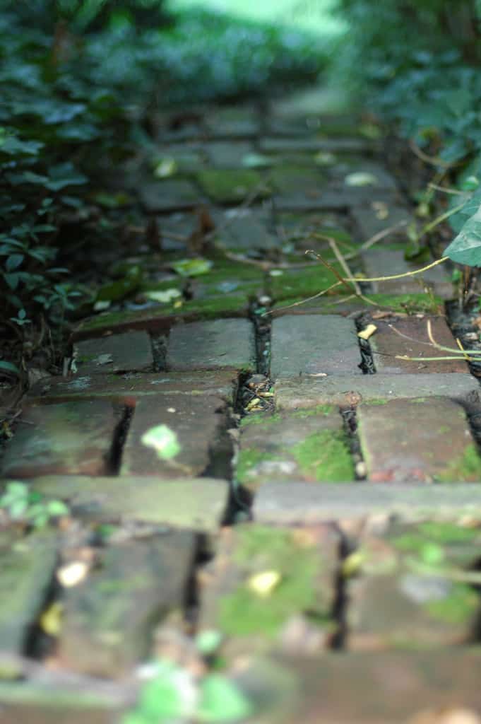 Brick Path by dewitt at Flickr
