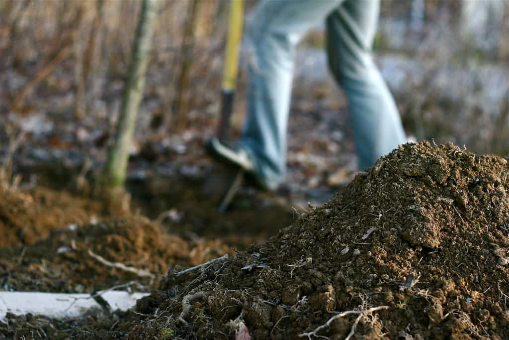 Digging by Chiot's Run at Flickr