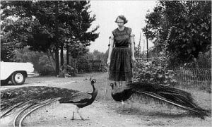 Flannery with Her Peacocks