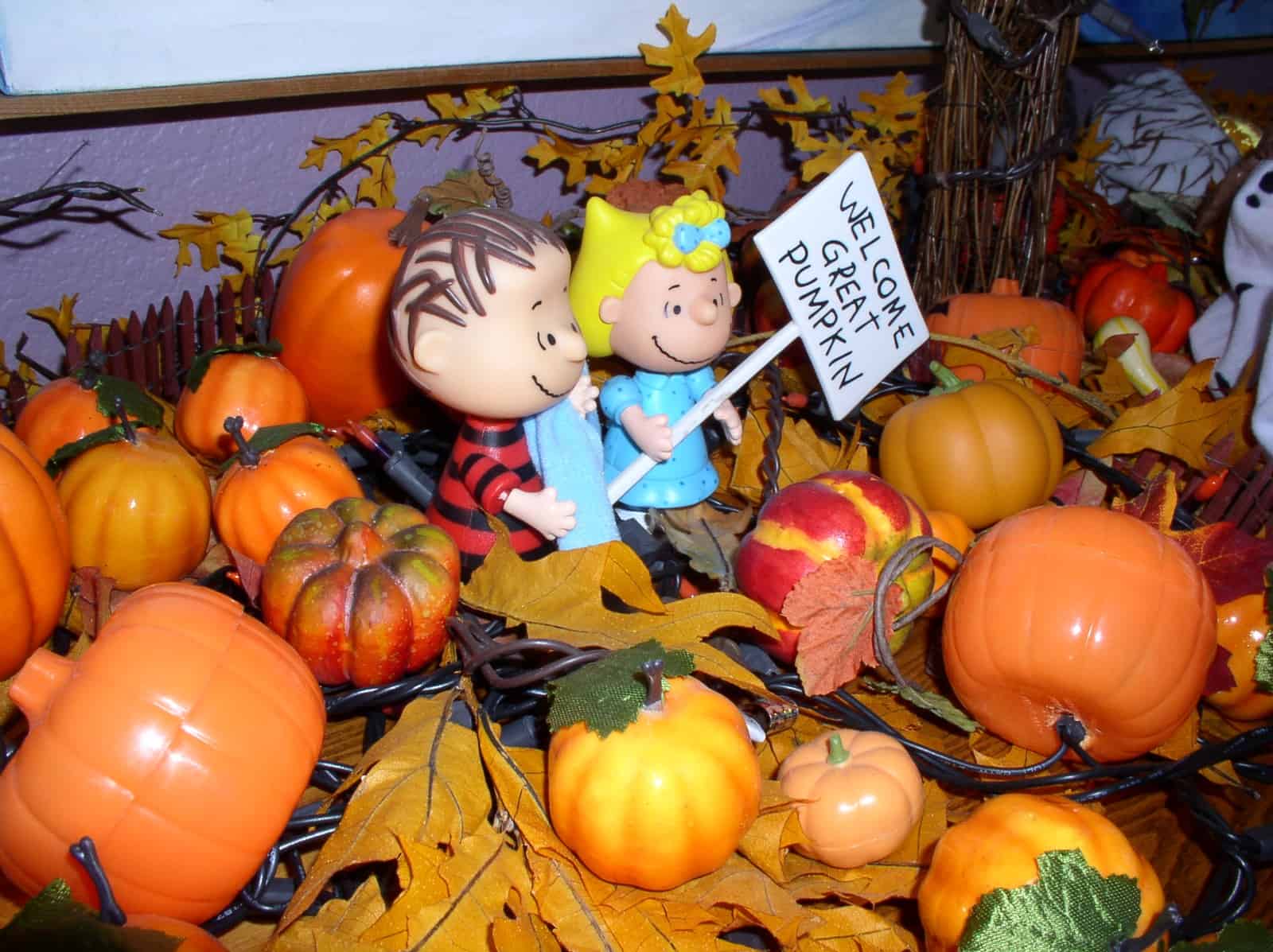 Charlie Brown Pumpkin Patch by Kevin Dooley on Wikicommons.