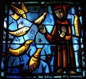 St. Francis Stained Glass