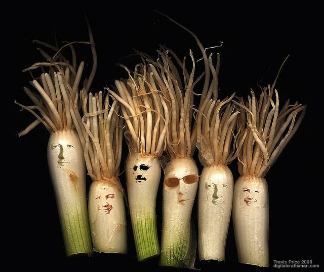 onions | Flickr User Erich Ferdinand | Flickr Creative Commons