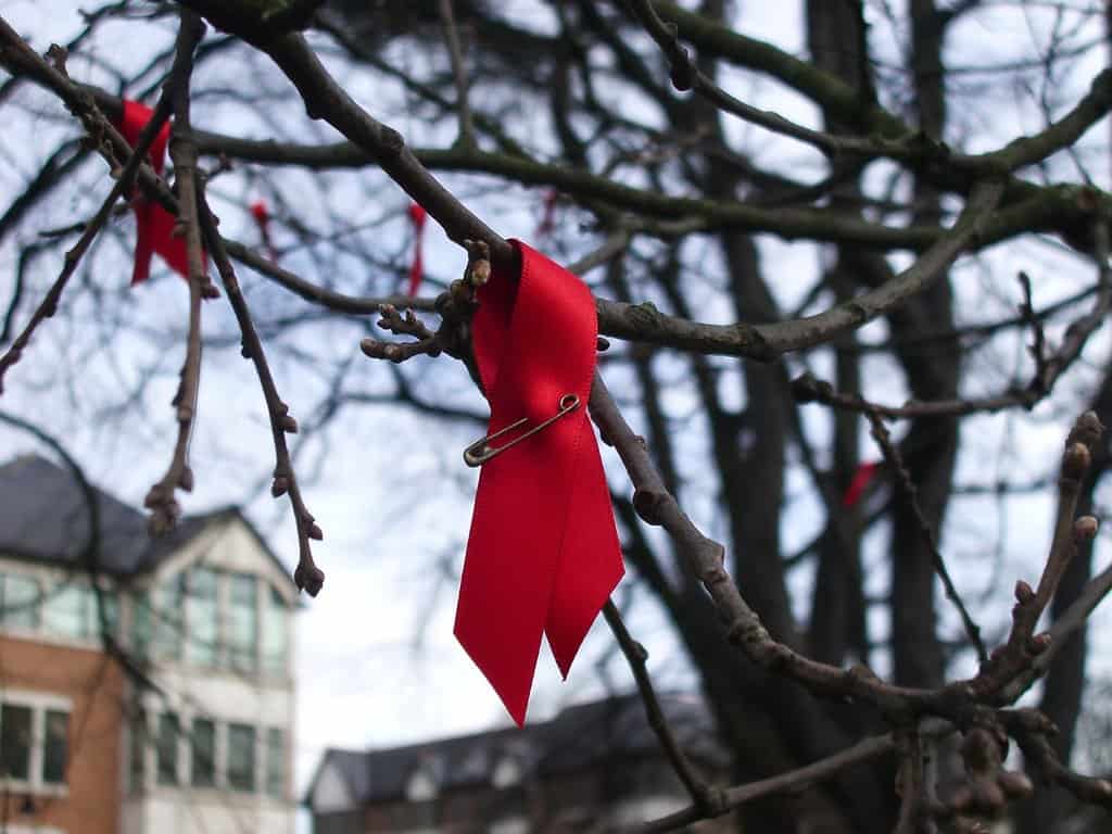 HIV, Advent, and Inclusion