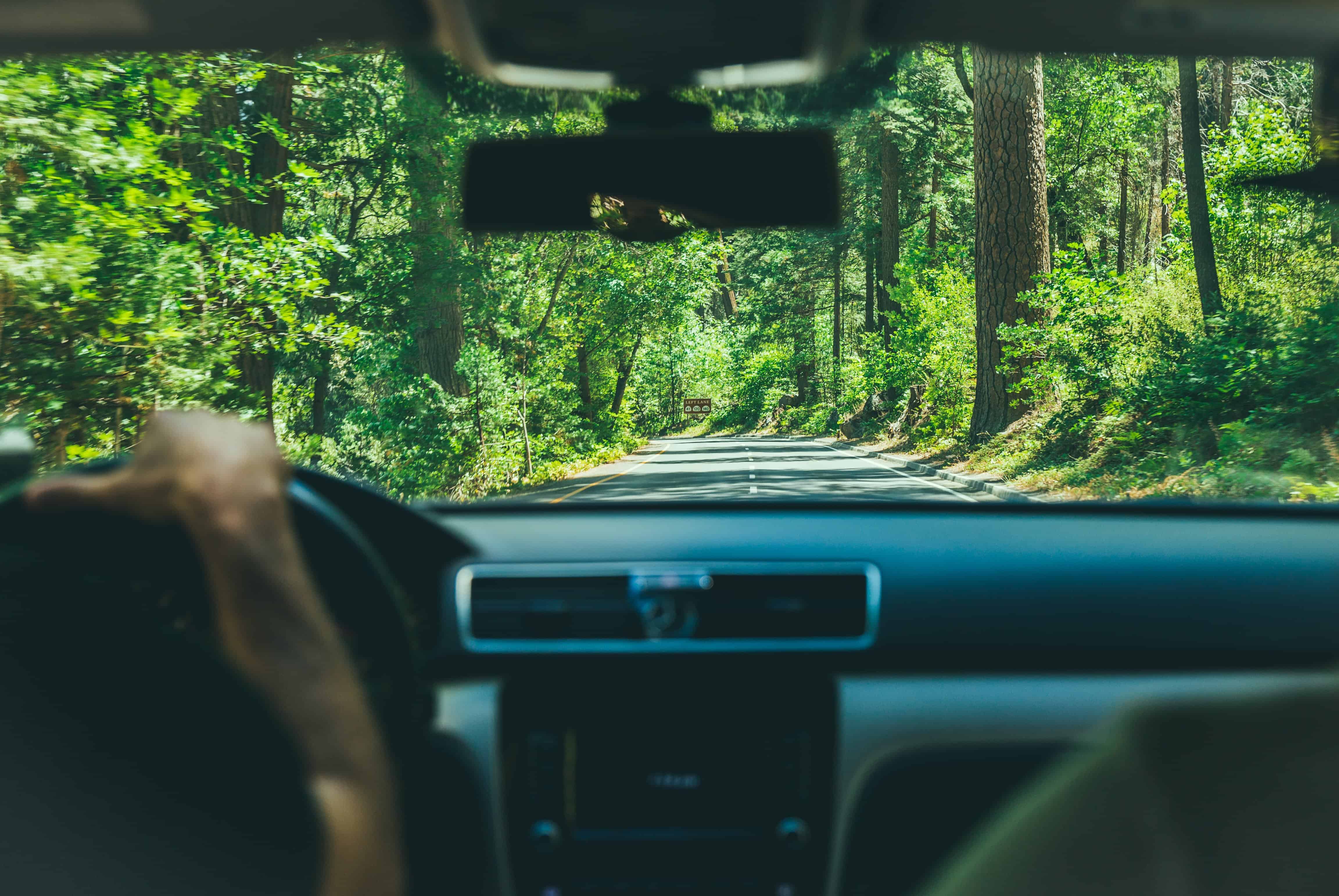 View of a tree filled road from the windshield of a car with a hand on the steering wheel.