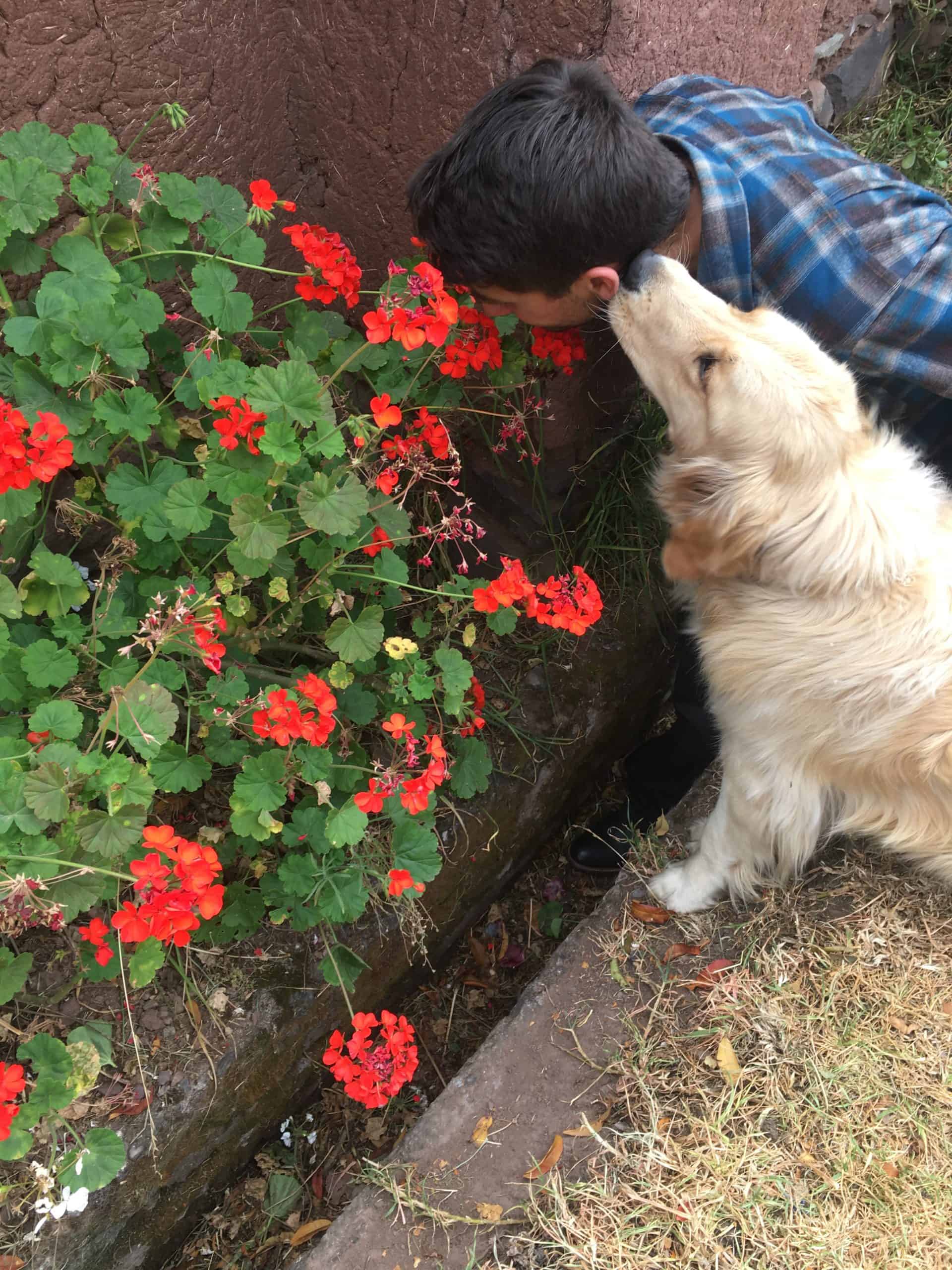The author stopping to smell the flowers while his dog stops to smell him.
