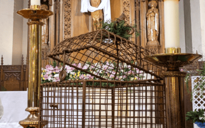 Grief, Relationality, and Animals: A Call to Bother to Love