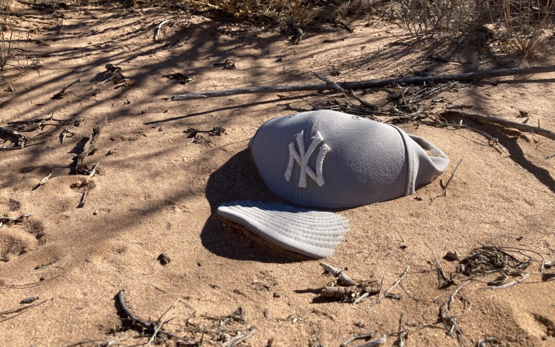 Looking for the Lost in the Desert