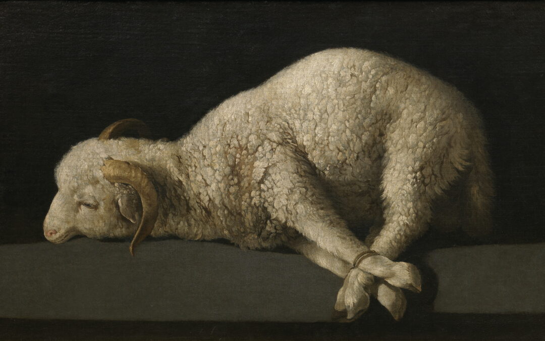 Finding Hope in Christ the Innocent Lamb