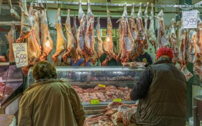 A Just Dinner Plate: Counting the Total Cost of Animal Agriculture